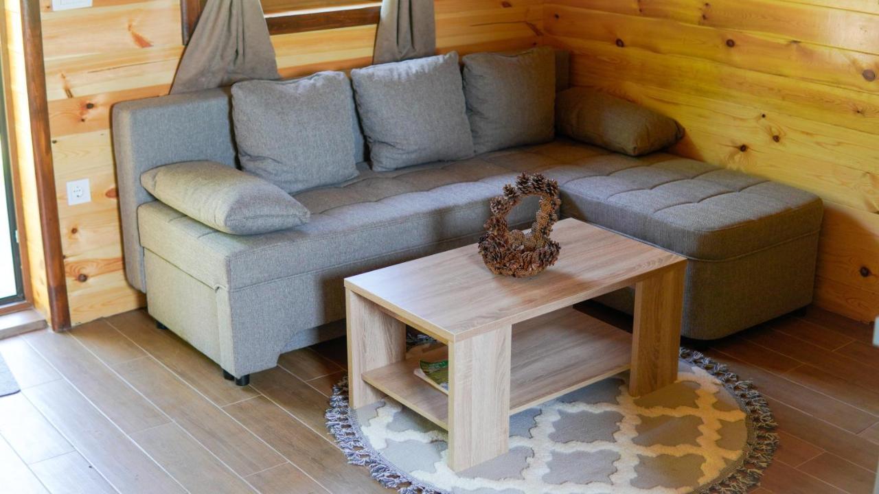Villa Mountain House Drveni Raj à Žabljak Extérieur photo