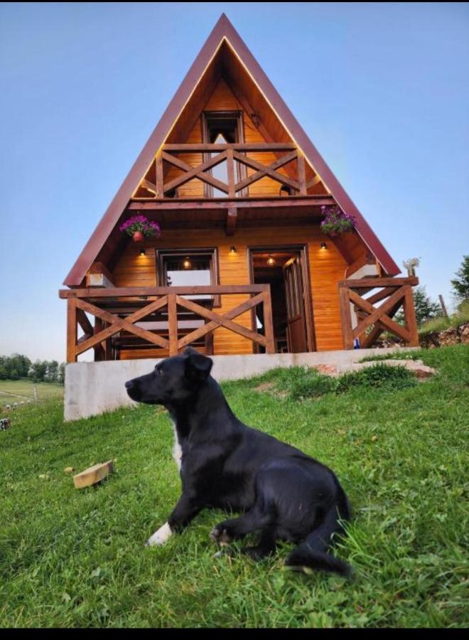 Villa Mountain House Drveni Raj à Žabljak Extérieur photo
